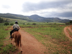 Safari te paard