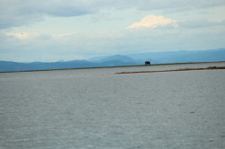 Lake Kariba