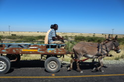 Central Kalahari, local transport